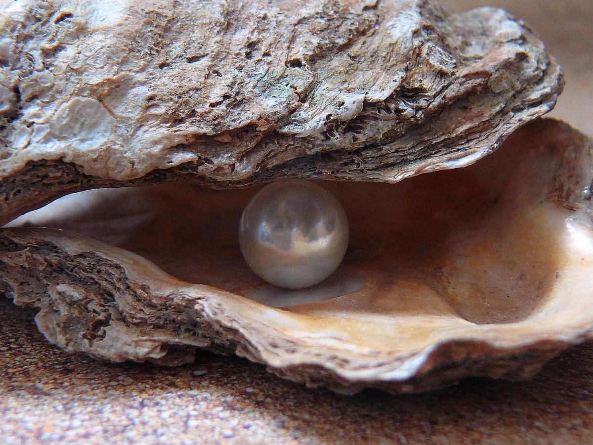 Midrash Says: “Pray For&nbsp;Jesus”